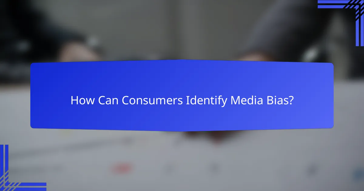 How Can Consumers Identify Media Bias?