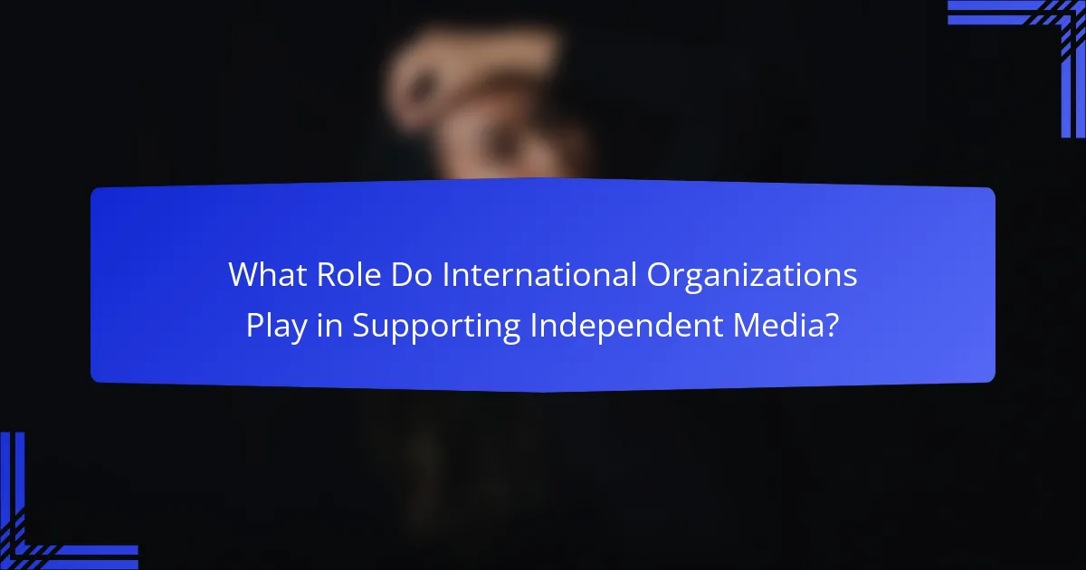 What Role Do International Organizations Play in Supporting Independent Media?
