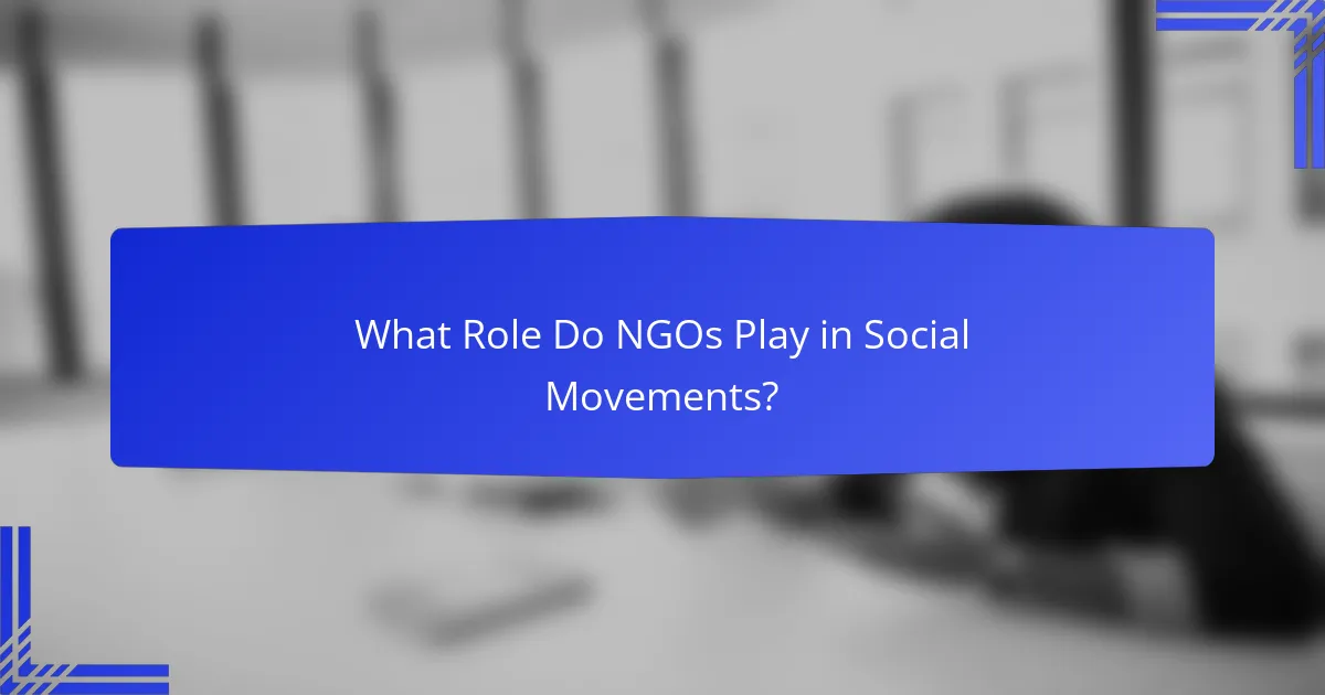 What Role Do NGOs Play in Social Movements?